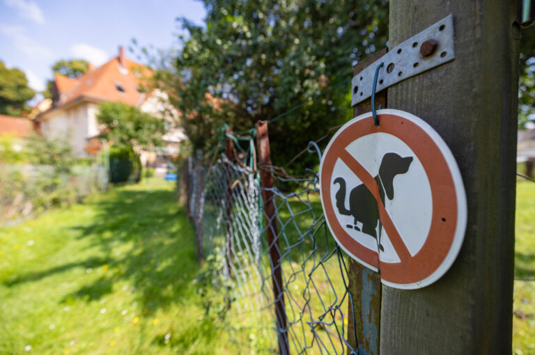 Zauberweg, Foto: Paul-Philipp Braun