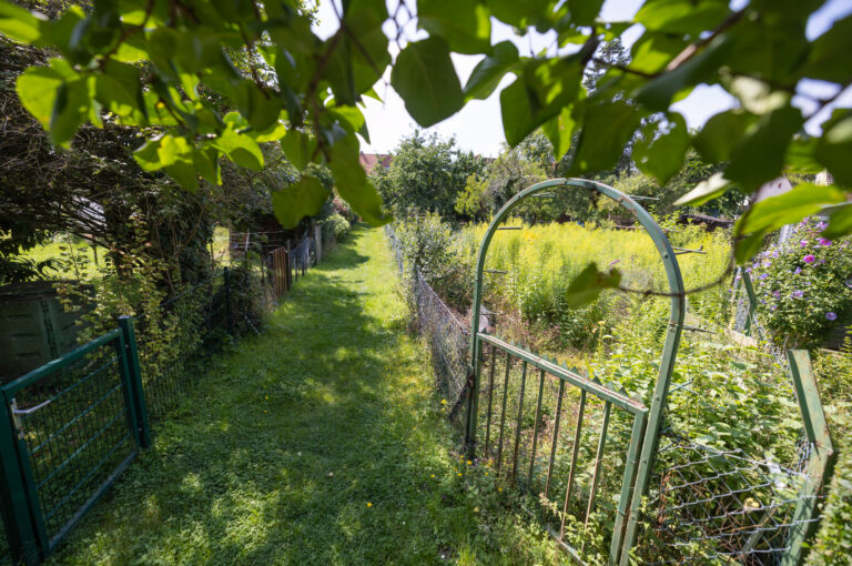 Zauberweg, Foto: Paul-Philipp Braun
