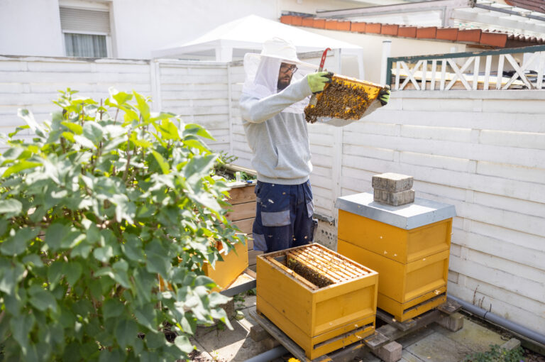 Imkern, Foto: Paul-Philipp Braun