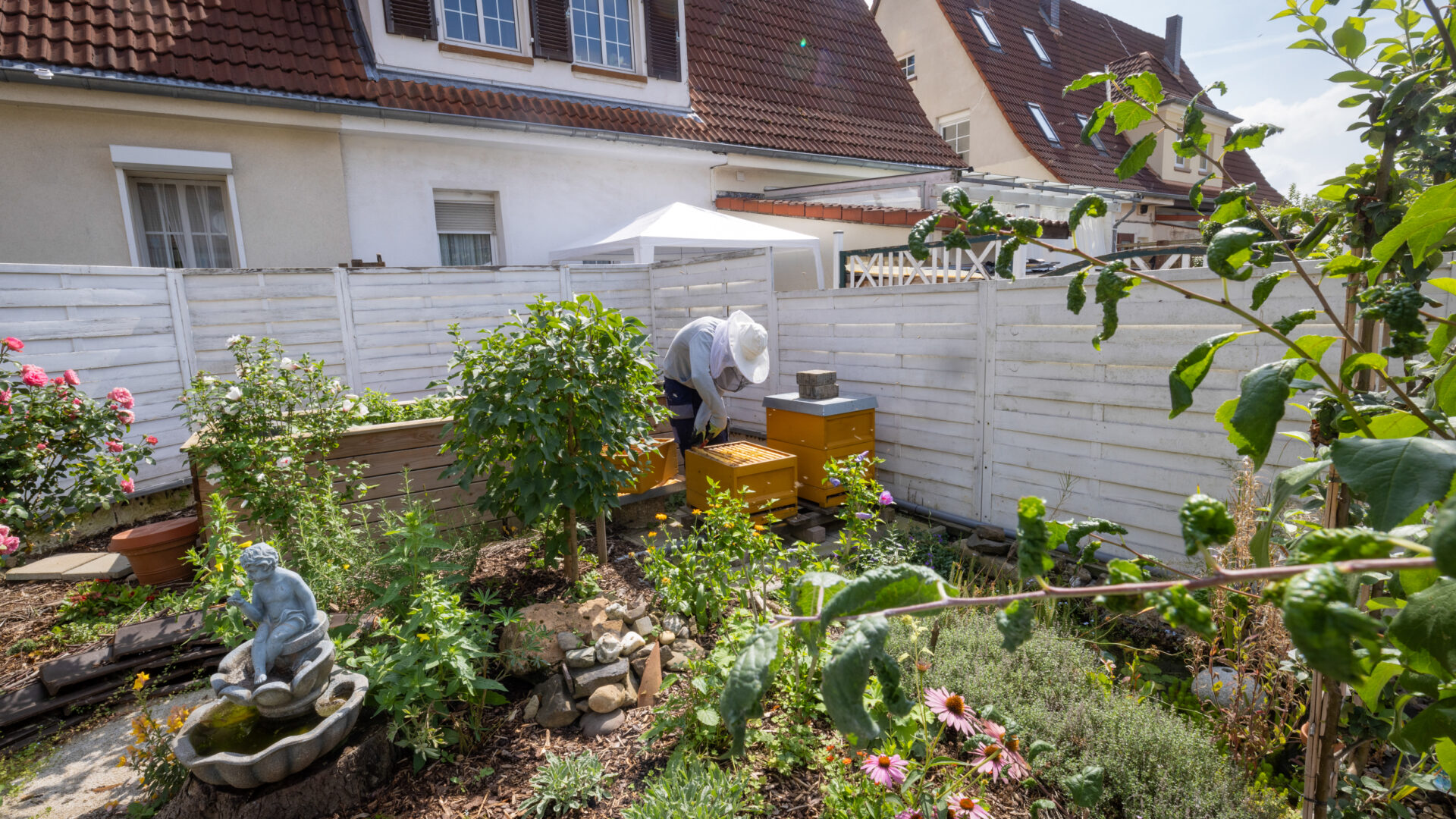 Imkern, Foto: Paul-Philipp Braun