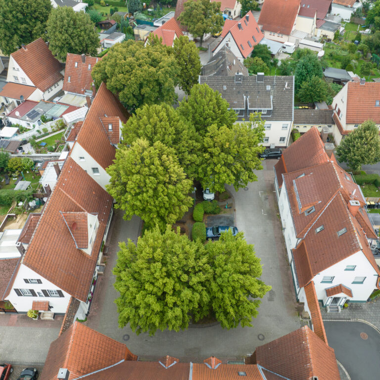 Luftaufnahme der roten Kolonie, Foto: Paul-Philipp Braun