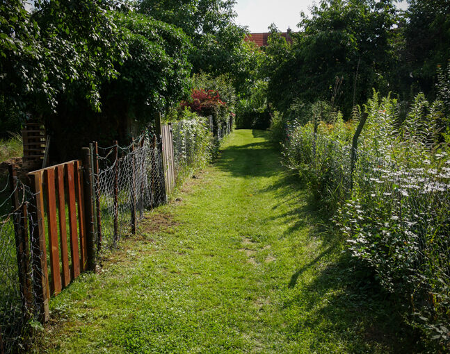 Impressionen der Roten Kolonie, Foto: Christine Siefer