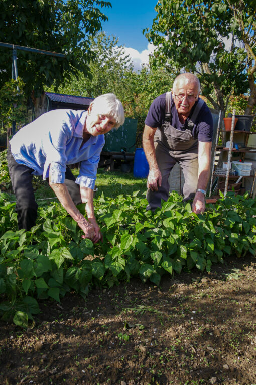 Ursula und Ulrich Knab im Garten, Foto: Christine Siefer